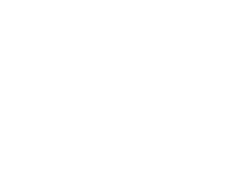 PAS0001 RZ Logo weiß